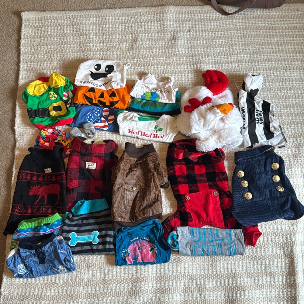 Size Medium Boy Dog Bundle (16lb dog)